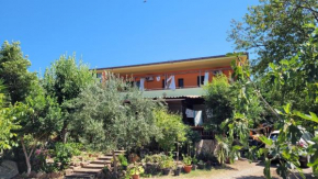 Гостиница B&B da Donatella  Санта Мариа Коджинас